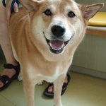 ネネちゃん