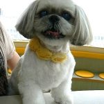 Marieちゃん