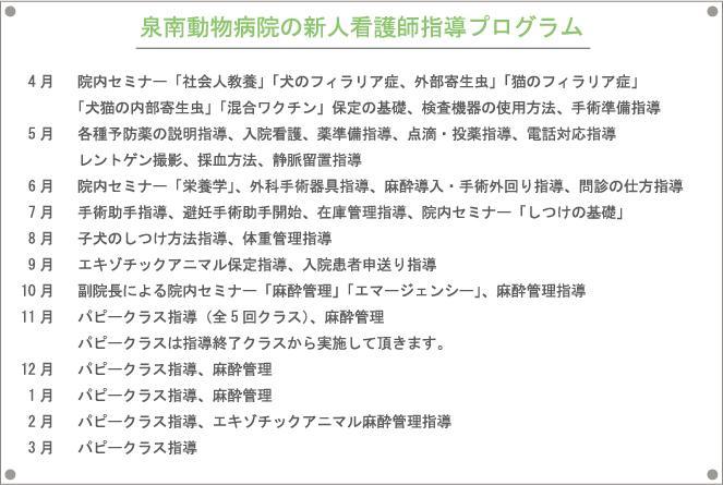 泉南動物病院の新人看護師指導プログラム
