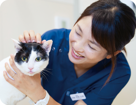 泉南動物病院画像