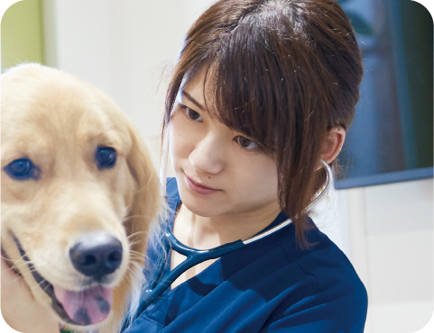 泉南動物病院画像