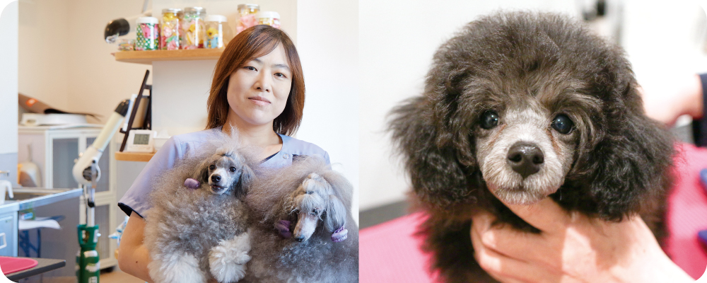 泉南動物病院画像
