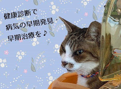 泉南動物病院画像