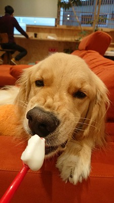泉南動物病院画像