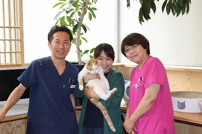 泉南動物病院画像