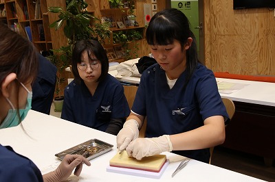 泉南動物病院画像