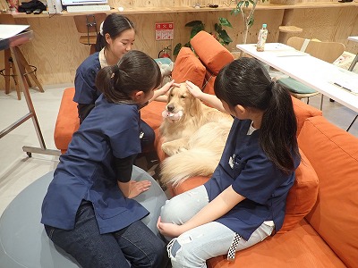 泉南動物病院画像