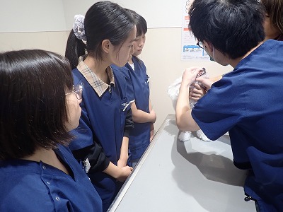 泉南動物病院画像