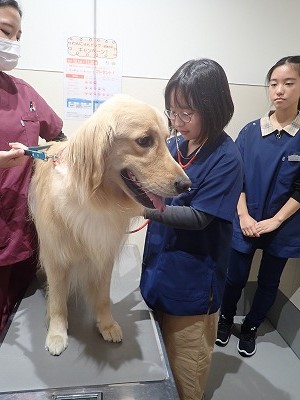 泉南動物病院画像