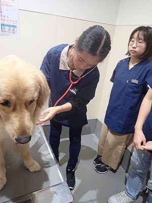 泉南動物病院画像