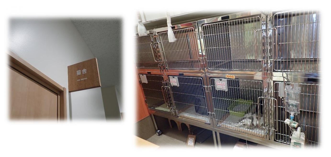 泉南動物病院画像