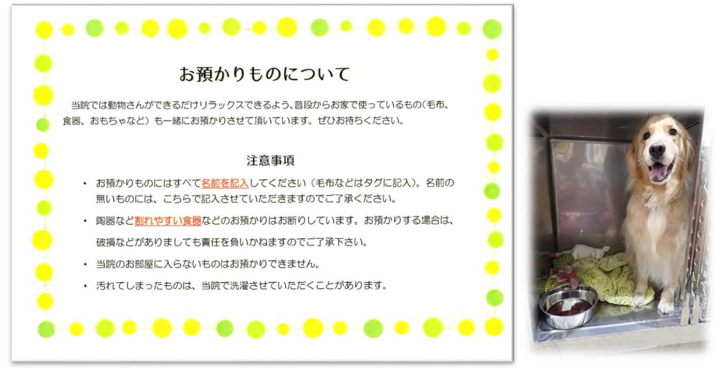 泉南動物病院画像
