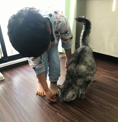 泉南動物病院画像