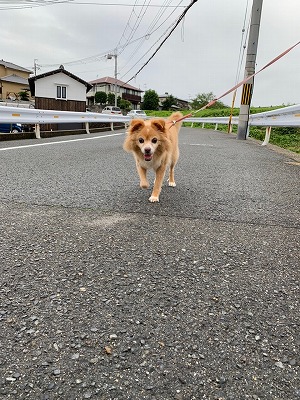 泉南動物病院画像