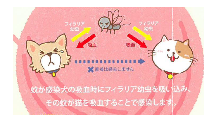 泉南動物病院画像