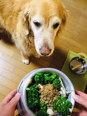 泉南動物病院画像
