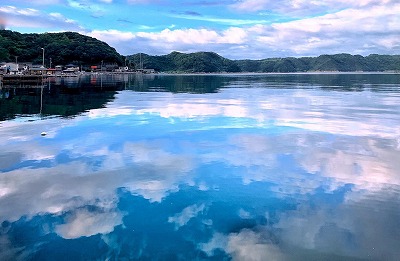 泉南動物病院画像