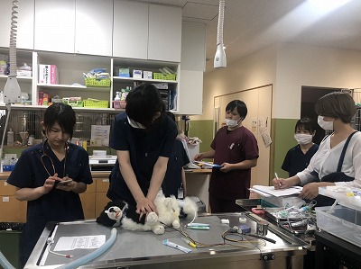 泉南動物病院画像
