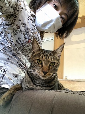 泉南動物病院画像