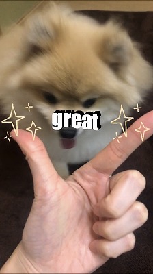 泉南動物病院画像