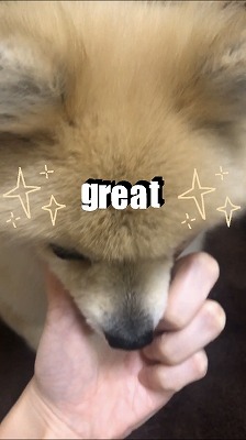 泉南動物病院画像