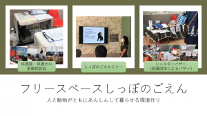 泉南動物病院画像