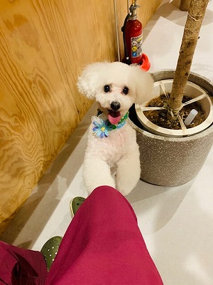 泉南動物病院画像