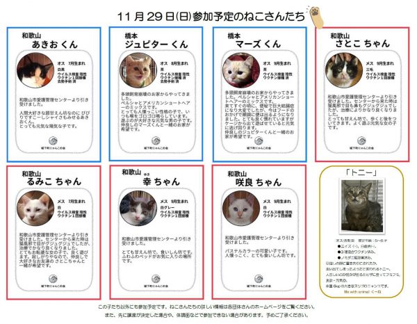 泉南動物病院画像