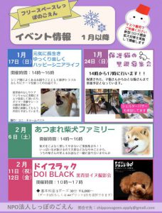 泉南動物病院画像