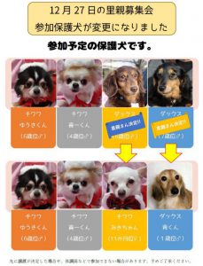 泉南動物病院画像
