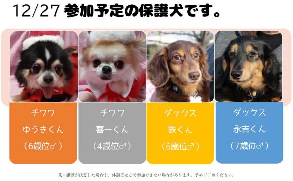 泉南動物病院画像