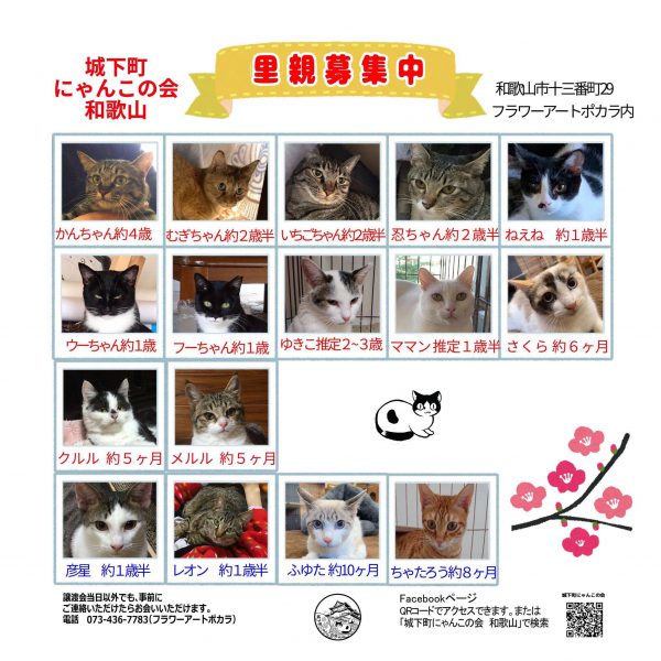 泉南動物病院画像