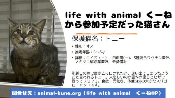 泉南動物病院画像