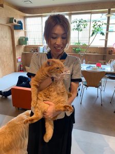 泉南動物病院画像