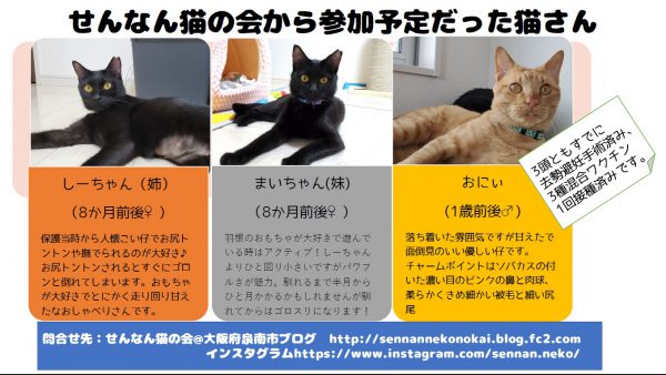 泉南動物病院画像