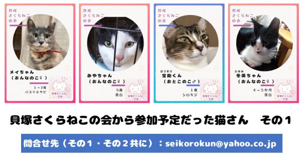 泉南動物病院画像