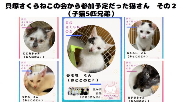 泉南動物病院画像