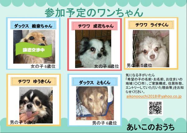泉南動物病院画像