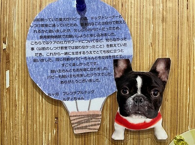 泉南動物病院画像