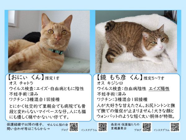 泉南動物病院画像