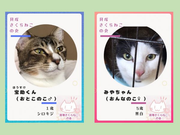 泉南動物病院画像