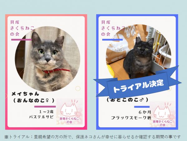 泉南動物病院画像