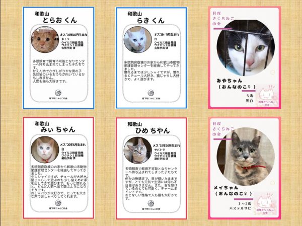 泉南動物病院画像