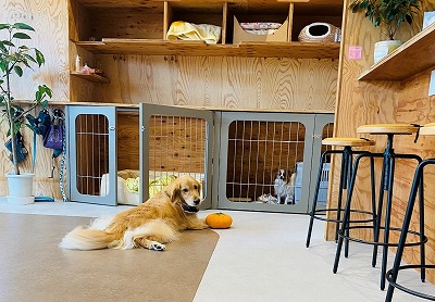 泉南動物病院画像
