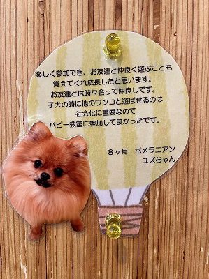 泉南動物病院画像