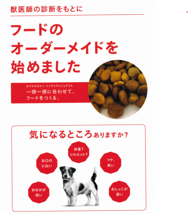 泉南動物病院画像