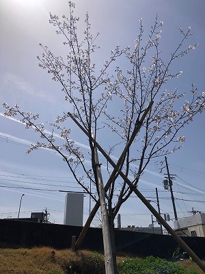 泉南動物病院画像