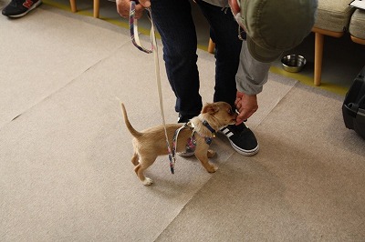 泉南動物病院画像