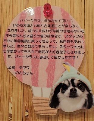 泉南動物病院画像