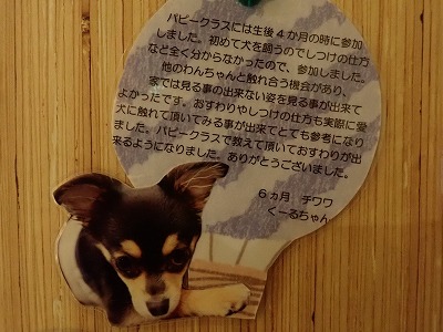 泉南動物病院画像